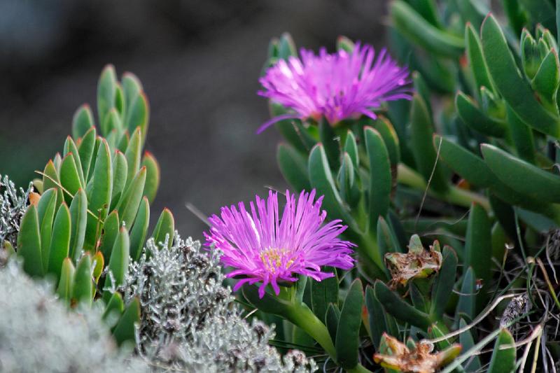 2007 05 01 Great Ocean Road 145_DXO.jpg